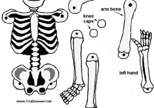 Skeleton Template to Cut Out Http 1halloween Net Images Cutskele Gif Paper Dolls