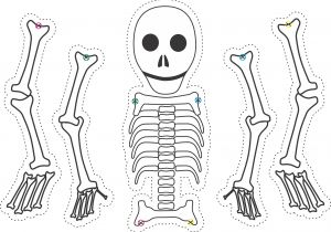 Skeleton Template to Cut Out My Children 39 S Curriculum Ezekiel