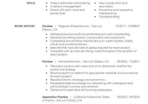 Skills for Basic Resume Get the Job with A Simple Resume Guide My Perfect Resume