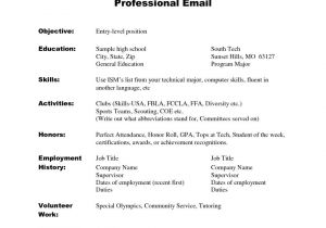 Skillsusa Job Interview Resume Image Result for Skill Based Resume Template Child 39 S