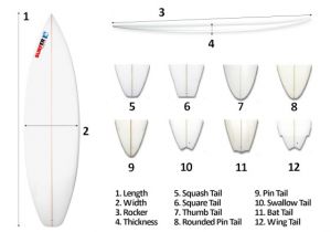 Skimboard Template the Effects Of Surfboard Design In Wave Performance