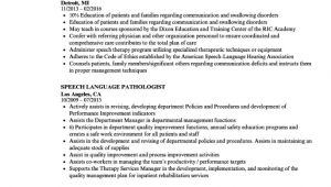 Slp Contract Template Speech therapy Contract Template