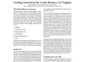 Small Cattle Farm Business Plan Template Farm Business Plan Template 12 Free Word Excel Pdf