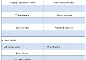 Small Retail Business Plan Template Small Business Plan Outline Template Pdf