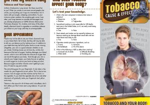 Smoking Brochure Template Cause Effect tobacco and the Body Pamphlet Primo