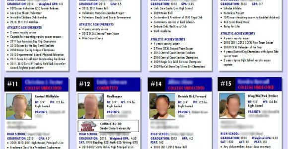 Soccer Team Brochure Template Team Profile Flier Registrationbytracy