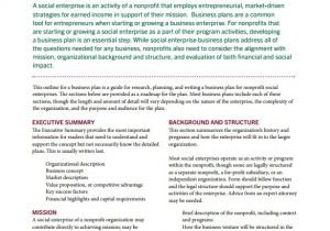 Social Enterprise Business Plan Template 21 Non Profit Business Plan Templates Pdf Doc Free