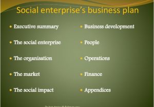 Social Enterprise Business Plan Template social Enterprise Business Plan Sample