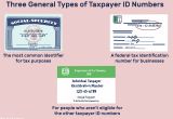 Social Security Card Name format Difference Between A Tax Id Employer Id and Itin