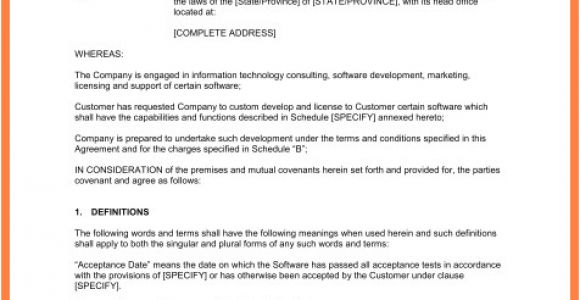 Software as A Service Contract Template 6 software as A Service Agreement Template Purchase