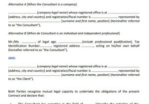 Software Consulting Contract Template 9 Sample Consultant Agreements Word Pdf