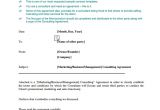 Software Consulting Contract Template Consulting Agreement 15 Pdf Doc Download