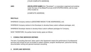 Software Consulting Contract Template software Development and Consulting Services Agreement
