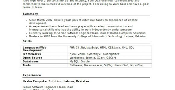 Software Engineer and Resume software Engineer Resume Template 6 Free Word Pdf