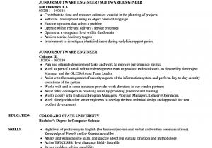 Software Engineer .net Resume Sample Junior software Developer Resume Ipasphoto