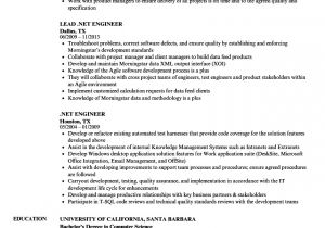 Software Engineer .net Resume Sample Net Engineer Resume Samples Velvet Jobs