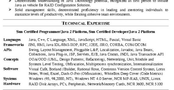 Software Engineer Qualifications Resume software Engineer Resume Example Summary Of Qualifications