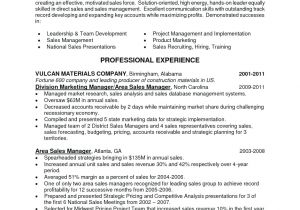 Software Engineer Resume Buzzwords Resume Adjectives for A Resume