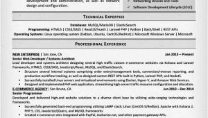 Software Engineer Resume Examples software Engineer Resume Example Writing Tips Resume