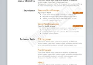 Software Engineer Resume Layout 30 Best Developer software Engineer Resume Templates