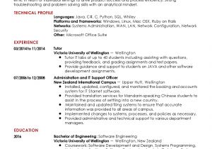 Software Engineer Resume Questions Professional Entry Level software Engineer Templates to