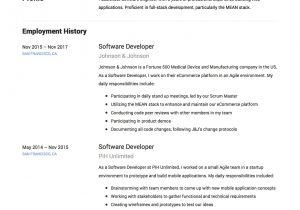 Software Engineer Resume Verbs Guide software Developer Resume 12 Samples Word
