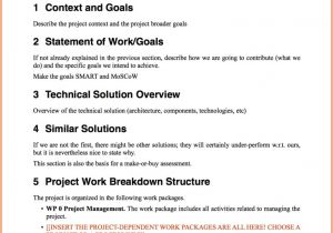 Software solution Proposal Template 8 software Project Proposal Template Project Proposal