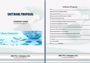 Software solution Proposal Template Word Template software Proposal Proposal Templates