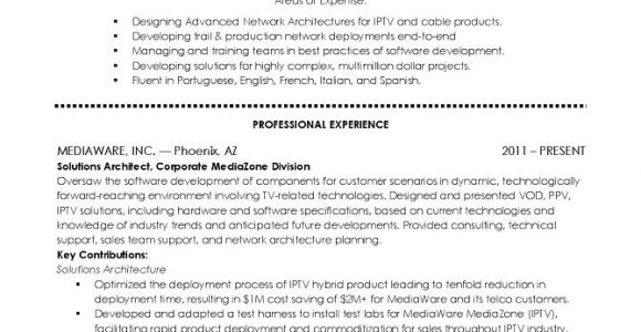 Solution Architect Resume Template It solutions Architect Resume Writing Wolf Resume Writer