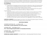 Solution Architect Resume Template solutions Architect It Writing Wolf Resume Writer