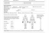 Sports Injury Report form Template 36 Free Incident Report forms