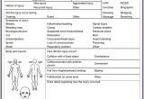 Sports Injury Report form Template 5 Sample Injury form Templates to Create An Injury Report