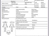 Sports Injury Report form Template 5 Sample Injury form Templates to Create An Injury Report