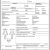 Sports Injury Report form Template 5 Sample Injury form Templates to Create An Injury Report