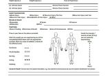 Sports Injury Report form Template Incident Report form Example