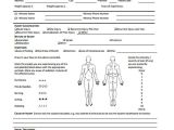 Sports Injury Report form Template Incident Report form Example