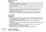 Sqa Resume Sample Sqa Manager Resume Samples Velvet Jobs