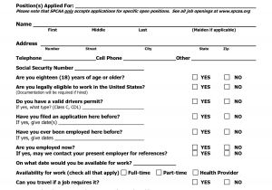 Standard form Of Resume Sample Free Blank Resume forms Printable Application form Job