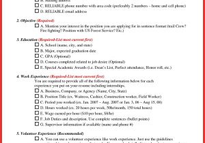 Standard form Of Resume Sample Us Standard Resume Sample Apa Example