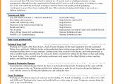 Standard Resume format In Word 6 Curriculum Vitae Download In Ms Word theorynpractice