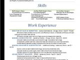 Standard Resume format In Word Word Resume Templates 2016