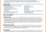 Standard Resume format Word File 5 Cv Sample Word Document theorynpractice