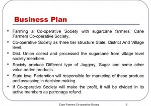 State Farm Business Plan Template Co Operative Business Plan Group 1