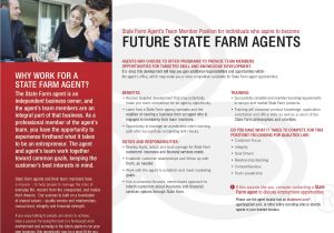 State Farm Business Plan Template State Farm Agents Salary Car Insurance Cover Hurricane