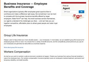 State Farm Business Plan Template State Farm Business Proposal Gallery Project Proposal