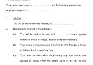 Statement Of Terms and Conditions Of Employment Template 9 Terms and Conditions Samples Sample Templates