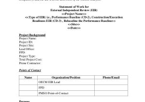Statement Of Works Template Statement Of Work Template 12 Free Pdf Word Excel
