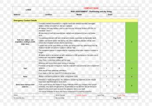 Step Ladder Risk assessment Template issue Based Risk assessment Template Gallery Template