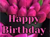 Stevie Wonder Singing Happy Birthday Card 910 Best Birthday 2 Images In 2020 Birthday Wishes Happy
