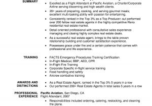 Stewardess Resume Sample Flight attendant Resume No Experience Sample Experience